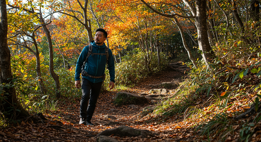 登山の荷物整理を劇的改善！小物ケースの選び方とおすすめ商品15選