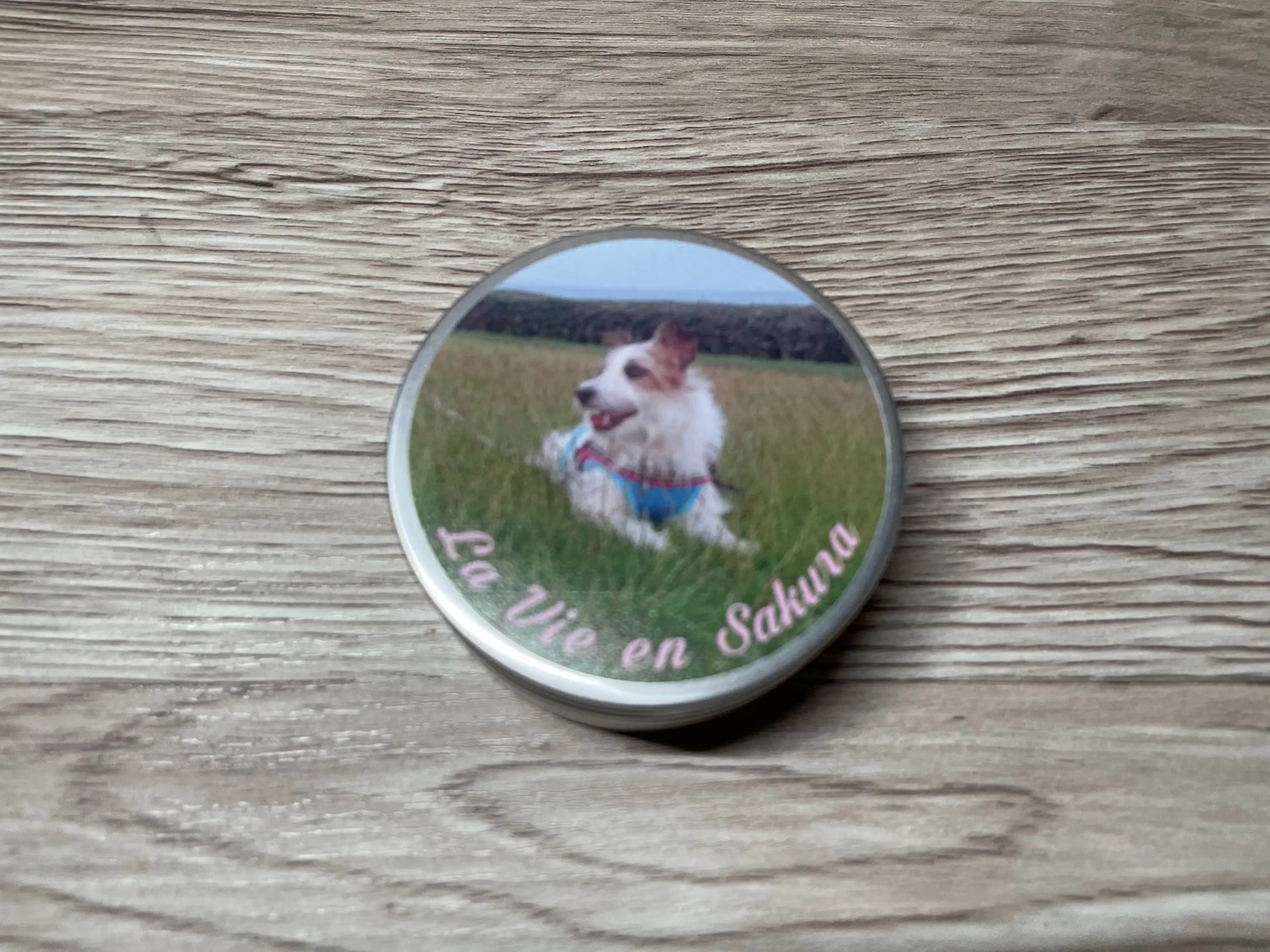 [カスタム]画像プリントサービスのアルミ丸缶 6缶セット 直径62mm×高さ27㎜ - 収納グッズ